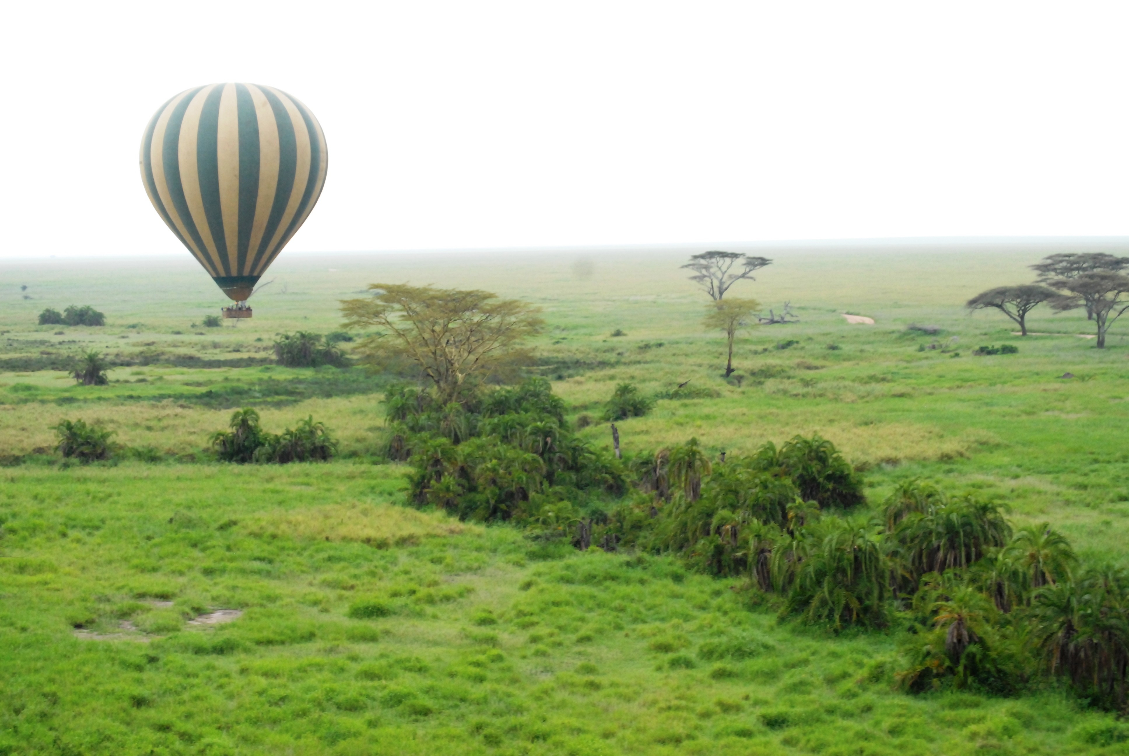 Balloon safaris