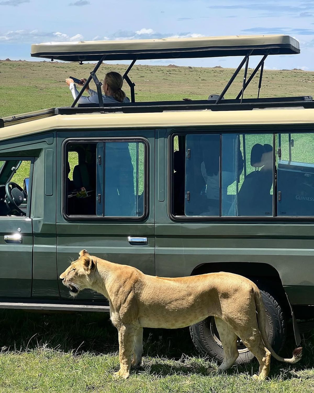 Walking safaris