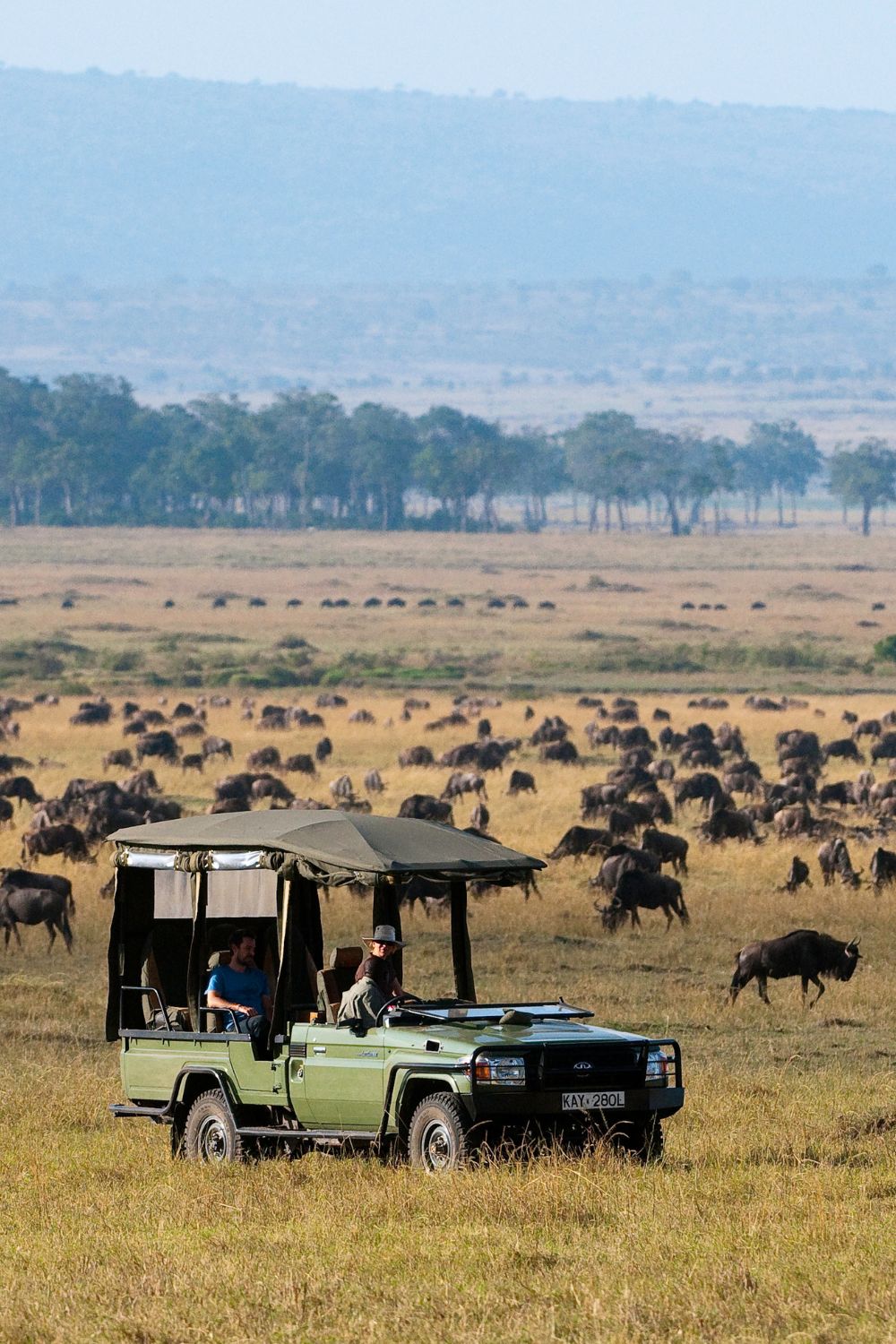 Wildebeest Migration Safari